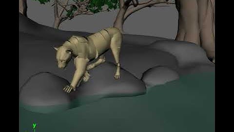 Blocking animation of a tiger