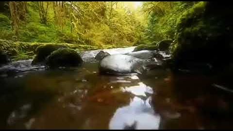 سورة الفتح محمد الغزالي