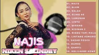 NAJIS - NIKEN SALINDRY FULL ALBUM TERBARU || KUMPULAN DANGDUT KOPLO POPULER