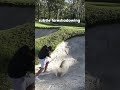 The day all my bunker confidence disappeared… 😂 #golf  #youtubegolf #golfpro
