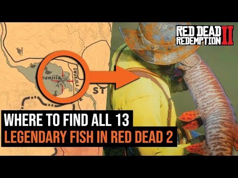 Video: Dimanakah special lake lure rdr2?