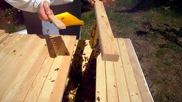 Top Bar Hive Cross-Comb Repair