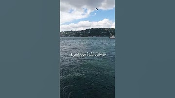 راحه نفسيه 🎧😴🕊️أجمل حالات واتس اب قرآن كريم بصوت جميل جدا تلاوه خاشعه 𝙌𝙪𝙧𝙖𝙣 𝙎𝙩𝙖𝙩𝙪𝙨❤️✨القارئ أحمد خضر