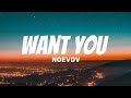 Noevdv - WANT YOU (Lyrics video) "Can I be for real?"
