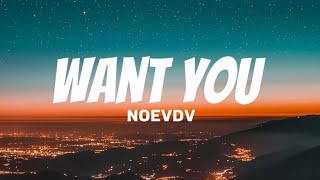 Noevdv - WANT YOU (Lyrics video) \