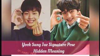 Yook Sung Jae Signature Pose Hidden Meaning | SungJoy Bbyu Couple memories with 6heart | SungJae&Joy