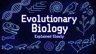 Literally Everything About Evolutionary Biology Explained Slowly (For Sleep)