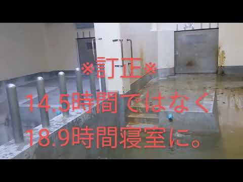 福岡市動物園、不健康で不衛生な動物飼育などについて#福岡市動物園 #福岡市動植物園 #わかりづらい飼育員等による虐待＃未来が見えない飼育#動物園 #カバ#福岡市議会#ゾウ#トラ#ライオン#動物園水族館