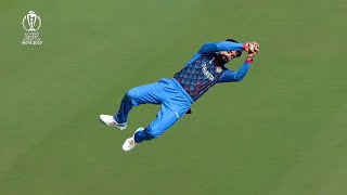 Rashid Khan 10 Best Catches & Run-Outs In Cricket 🔥