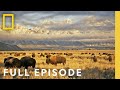 Wild yosemite full episode  americas national parks