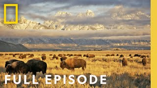 Wild Yosemite (Full Episode) | America&#39;s National Parks