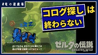 #11【ゼルダの伝説・breath of wild】コログ探しは終わらない！【竜の遊技場】