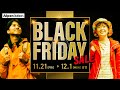 【アルペンアウトドアーズ ブラックフライデーセール】