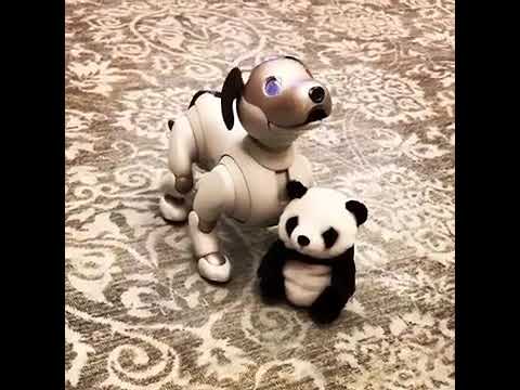 PANDA AIBO LONG LONG パンダ アイボ ロンロン