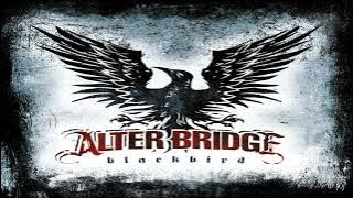 Alter Bridge - Blackbird (Guitar Backing Track w/original vocals) #multitrack