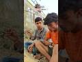 Rasian fruit ❓wait for end 😂#fruit #friends #villagelife #funny #ytshorts #video #trending #2026