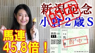 東西どちらも本命１着！【競馬】新潟記念 小倉2歳S 2019 予想（ブラックスピネル惜しかった…） ヨーコヨソー