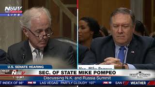 FULL: Secretary of State Mike Pompeo Putin Meeting Testimony