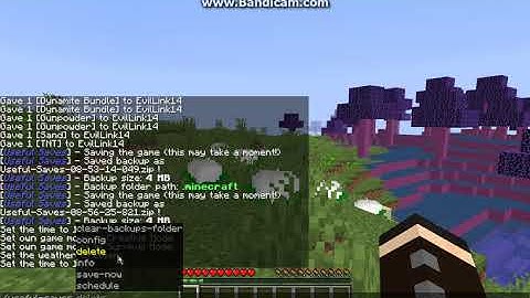 Useful Saves 1.14.4 Forge Mod Overview (Backup, Schedule, Delete and more)