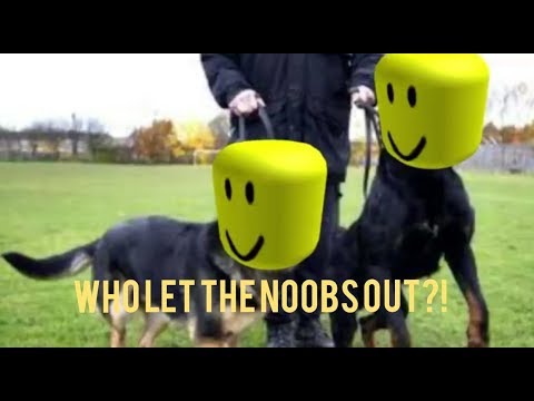 pushing noobs out of their carts pushing noobs out of their carts