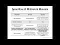 Comparison of Mitosis and Meiosis