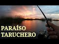 🌅PARAÍSO DE LAS TARUCHAS🌅 | Laguna El Abuelo | Tarariras en Bragado [Parte 2/2] | Pesca con señuelos