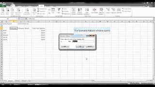 ms excel 2010 how to use the scenario manager dialog box to create a scenario demo