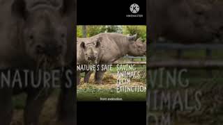 safe wildlife shortyoutubevideo siksha educational shout educ
