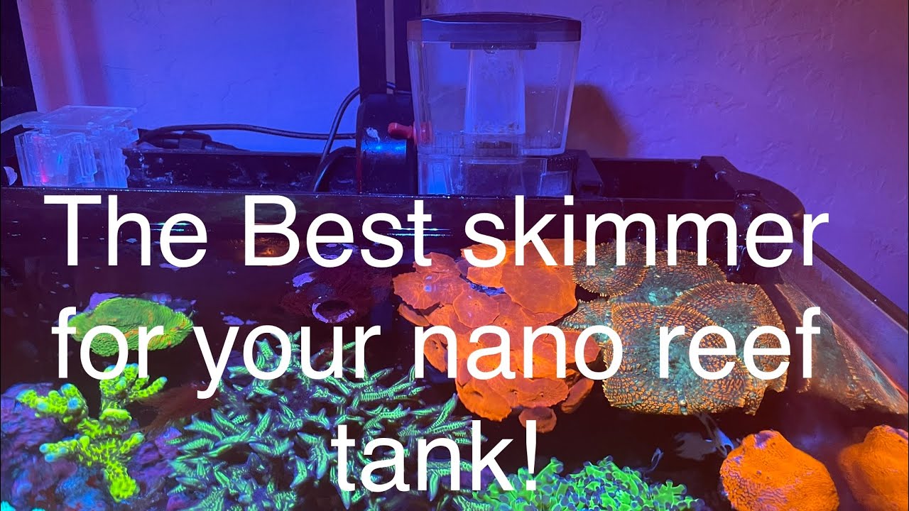 The BEST Protein Skimmer For a Nano Saltwater Reef Tank aquarium