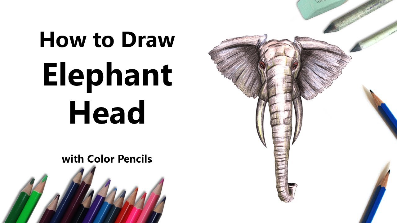 How to Draw an Elephant Head with Color Pencils [Time Lapse] - YouTube