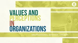 Values and Perceptions in Organizations