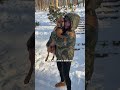 She Met A Dying Stray Dog On Vacation — And Never Lost Hope | The Dodo
