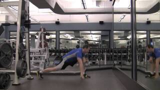 Lunge Elbow to Instep