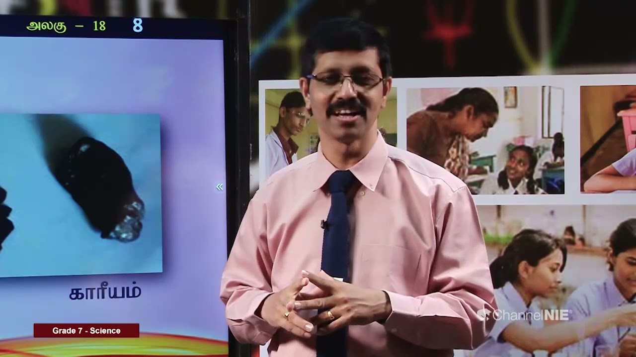 பாறைகளும் கனியங்களும் | அலகு 18 | தரம் 07 | Science | விஞ்ஞானம் |  P 18