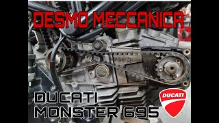 CAMBIO DE CORREAS DUCATI MONSTER 695, PASO A PASO!! ⏩️ distribución Ducati, Desmoservice.