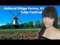 Party of One at Tulip Festival on Holland Ridge Farms