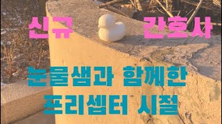 신규간호사 입사|프리셉터 시기|대학병원 간호사 브이로그|눈물이 마를 날 없는 신규간호사 시절 버텨내기