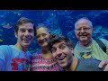 Visiting The Georgia Aquarium, The World Of Coca-Cola, And The Ponce City Market!