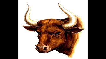 Shieldless Type-10 HazRES Multi-Crew