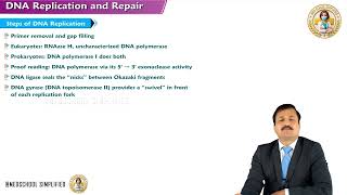2. DNA Replication & Repair | Enzymes, Mechanisms & Clinical Disorders | MBBS Biochemistry | USMLE