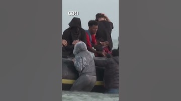 Migrant boat FULL OF MEN sets sail for Britain from French beach