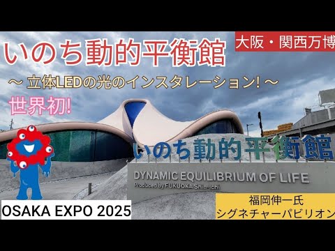 EXPO 2025 ダイナミックエクイリブリアム いのち動的平衡館　ピンバッジ 非売品 いのち動的平衡館 関西万博 ピンバッチ - メルカリ