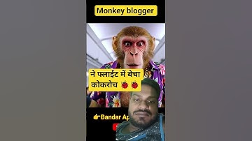 #ai monkey vlog#monkey video editing #how to making ai video#monkey vlogger flight