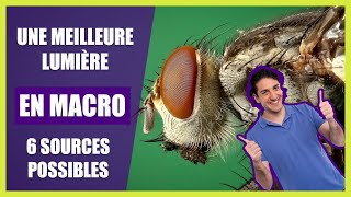 6 SOURCES possibles pour améliorer la lumière (comme on peut) en MACRO