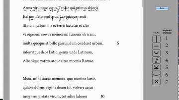 Latin Scansion tools