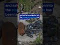 Exploded ammunition depot destroys homes | DW News