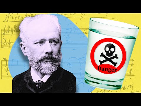 Video: ¿Por qué tchaikovsky era importante?