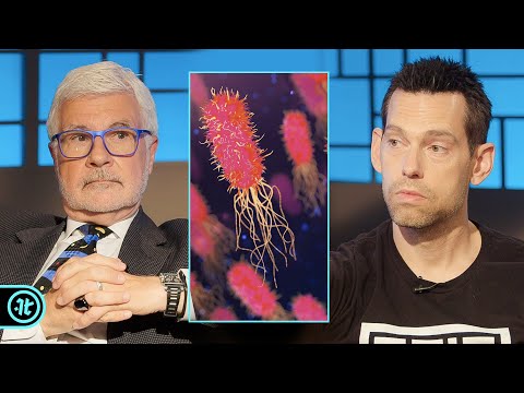 Are These Healthy Foods Actually Poisoning You? | Dr. Steven Gundry thumbnail