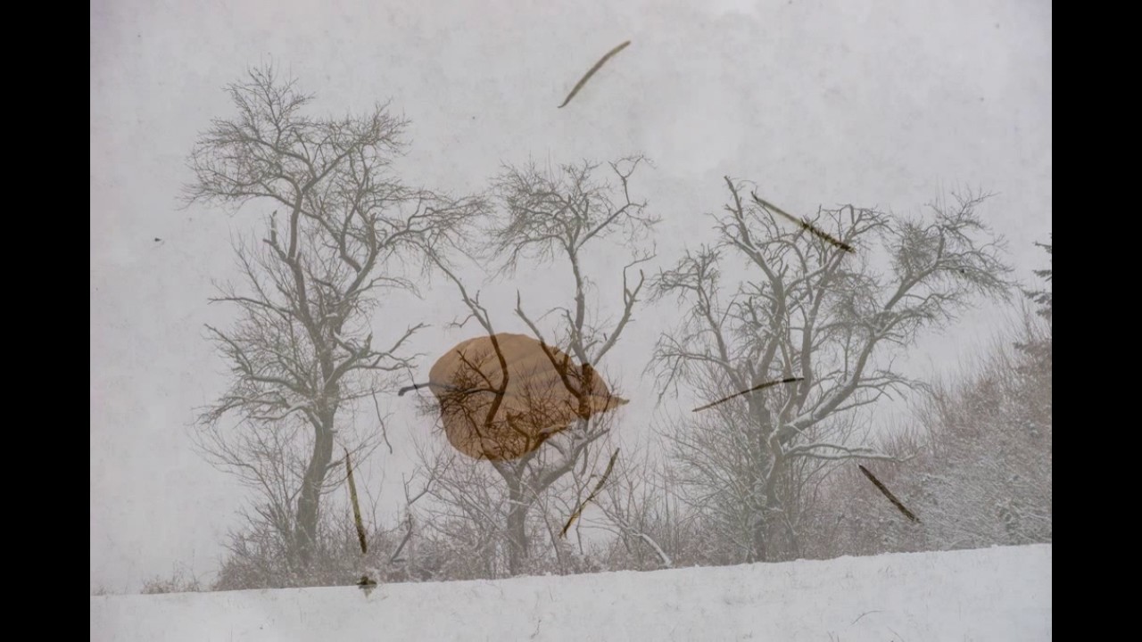 Januar 2017 - Eindrücke aus dem Wispertaunus