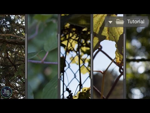 Photoshop CC Tutorial: How to Edit and Save Multiple Photos at once (Batch Processing + Automation)
